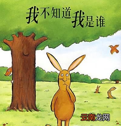 对自己未来的规划