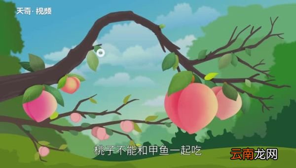 桃子不能和什么一起吃与桃子相克的食物