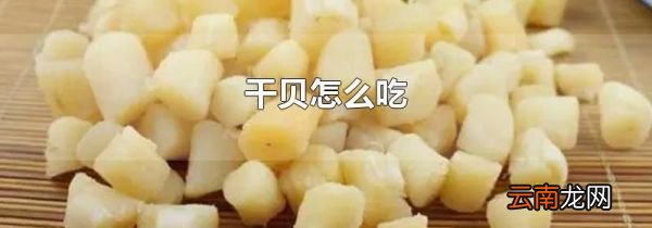 干贝怎么吃