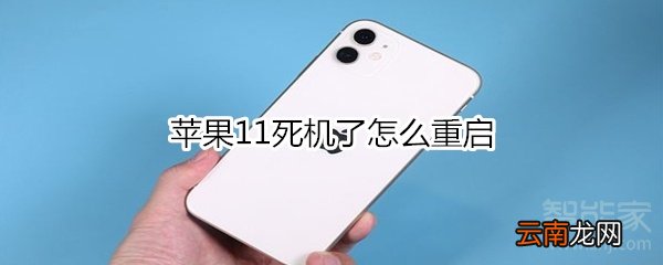 苹果11死机了怎么重启
