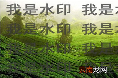 PS怎么在图片上加logo