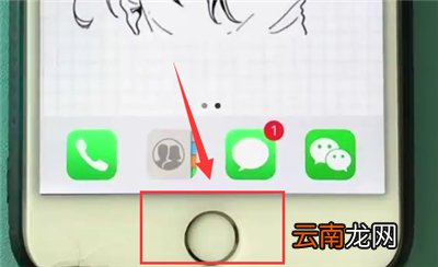 苹果6plus打开语音助手的简单步骤