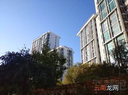 Redmi 8A值得入手吗？Redmi 8A全面评测