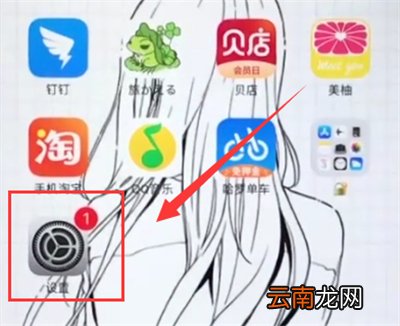 苹果6plus中打开省电模式的操作步骤