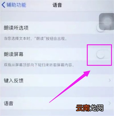 苹果6plus中开启屏幕朗读的操作步骤