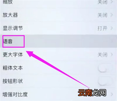 苹果6plus中开启屏幕朗读的操作步骤