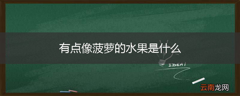 有点像菠萝的水果是什么