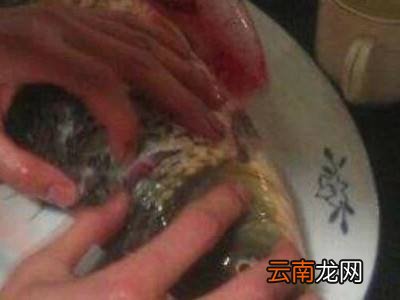 鱼线在哪里抽