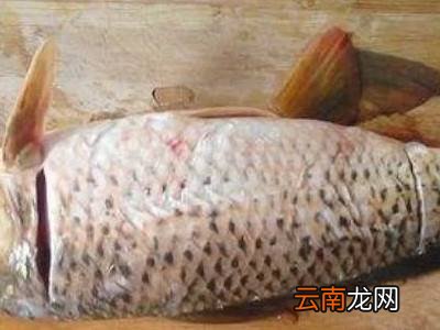 鱼线在哪里抽