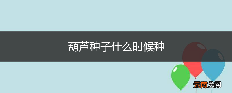 葫芦种子什么时候种