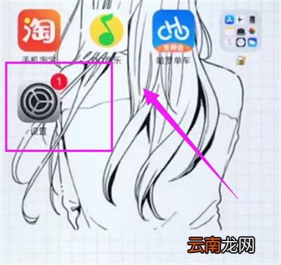 苹果6plus中设置电量百分比显示的操作步骤