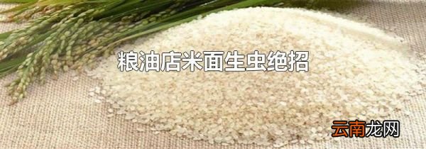粮油店米面生虫绝招
