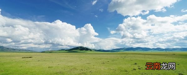 老舍草原课文解析 草原课文解读