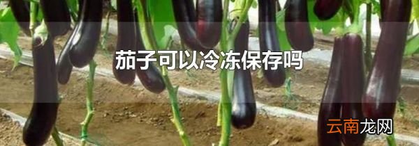 茄子可以冷冻保存吗