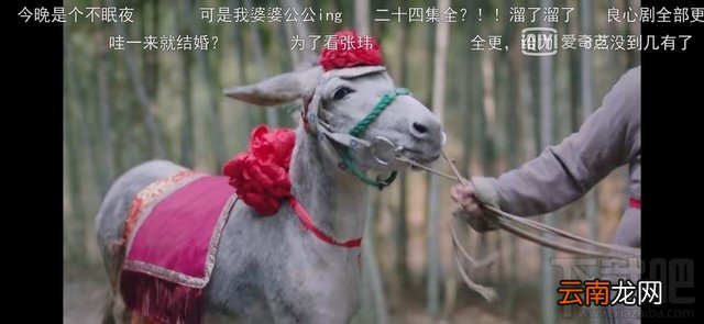 iQOO Neo 855版电池耐用吗 iQOO Neo 855版续航能力评测