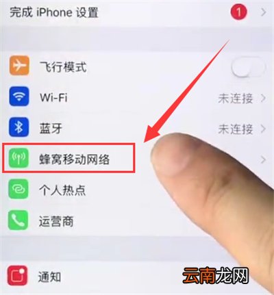苹果6plus关闭APP使用移动数据的操作方法