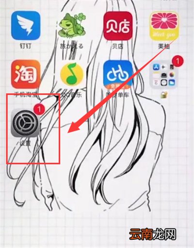 苹果6plus关闭APP使用移动数据的操作方法