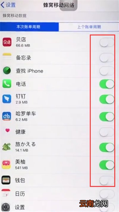 苹果6plus关闭APP使用移动数据的操作方法