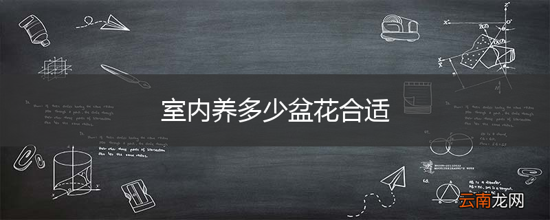 室内养多少盆花合适
