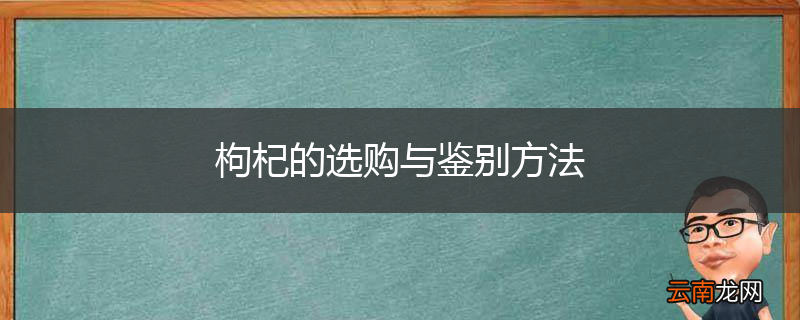 枸杞的选购与鉴别方法