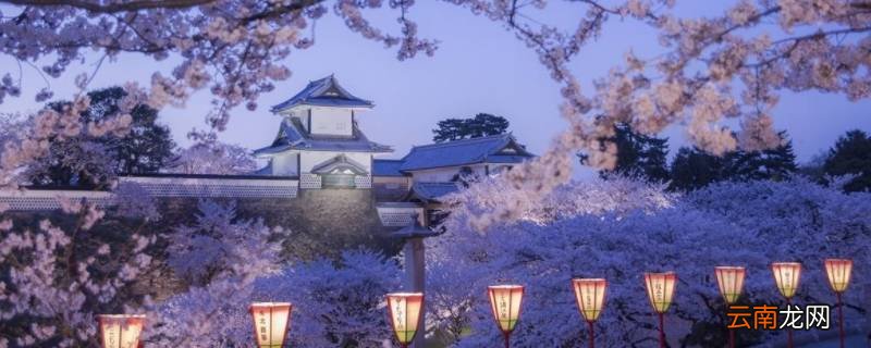 kanazawa在日本哪里