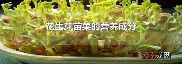 花生芽苗菜的营养成分