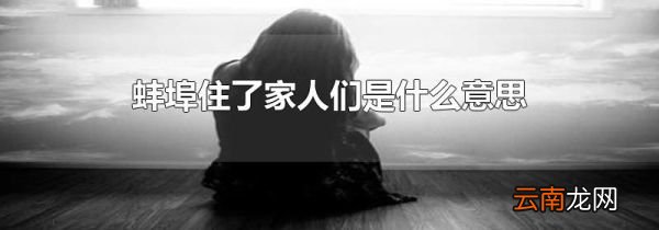 蚌埠住了家人们是什么意思