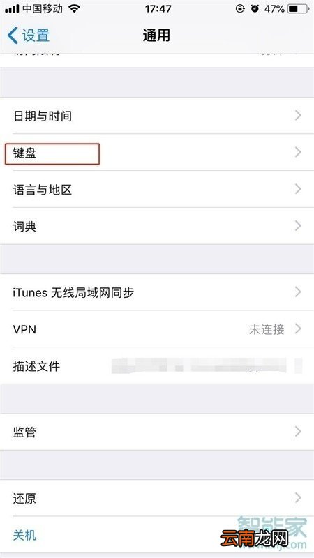 苹果11手机手写怎么设置
