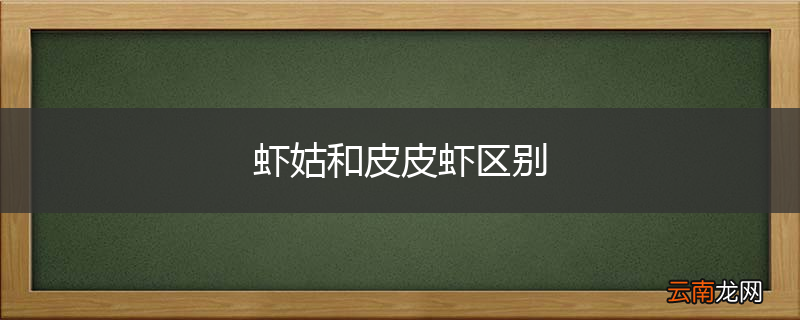 虾姑和皮皮虾区别
