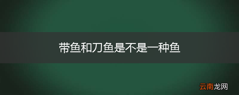 带鱼和刀鱼是不是一种鱼