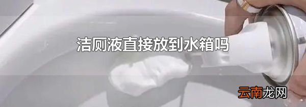 洁厕液直接放到水箱吗