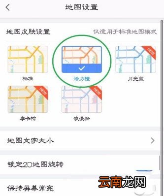 高德地图中更改地图皮肤具体操作步骤