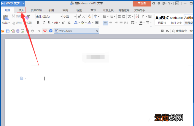 TXT中文件导入wps具体操作步骤
