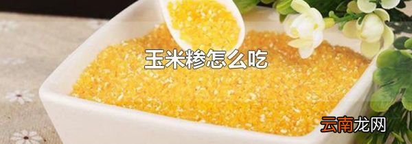 玉米糁怎么吃
