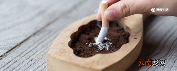 烟灰缸里为什么不能倒水 烟灰缸里不能倒水为什么