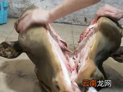 生牛头怎么劈开简单的方法
