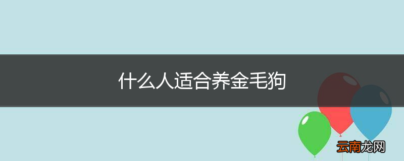 什么人适合养金毛狗