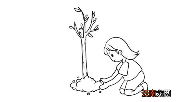植树节图片简笔画怎么画植树节图片简笔画的教程