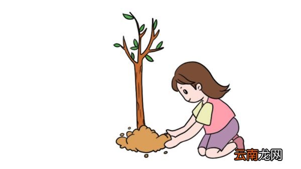 植树节图片简笔画怎么画植树节图片简笔画的教程