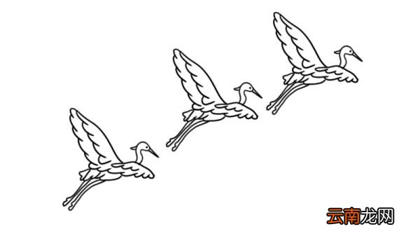一行白鹭上青天简笔画