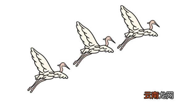 一行白鹭上青天简笔画