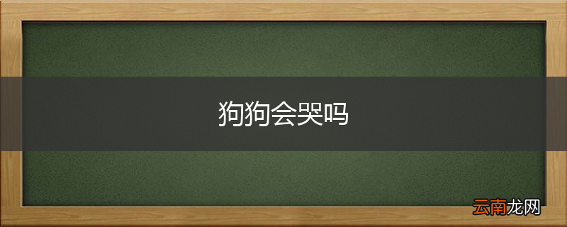 狗狗会哭吗
