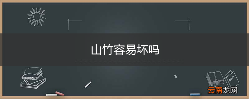 山竹容易坏吗