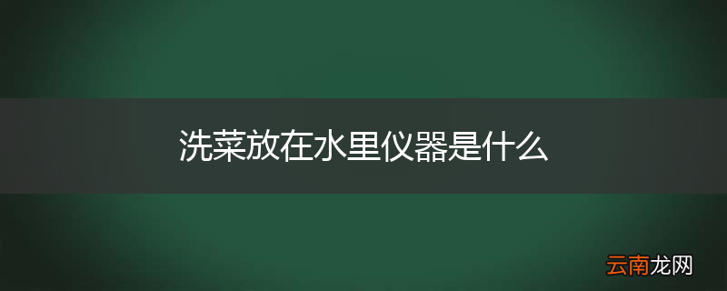 洗菜放在水里仪器是什么