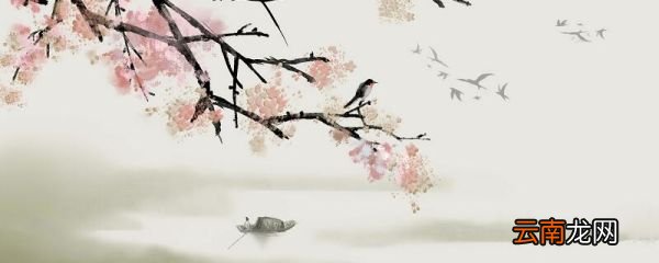 卜算子咏梅抒发了作者怎样的情感 卜算子咏梅所表达的思想感情