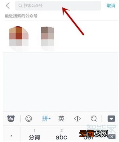 qq会员公众号怎么关注