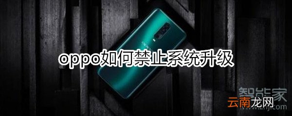 oppo如何禁止系统升级