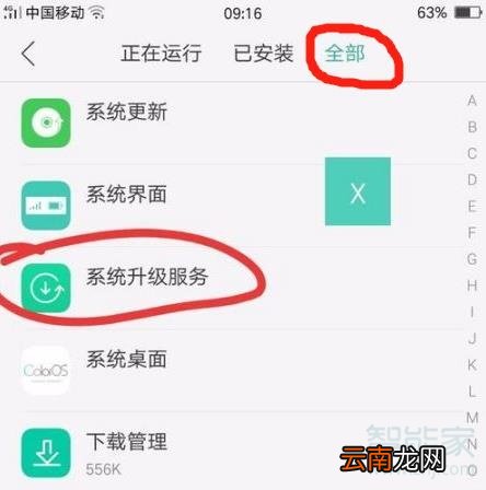 oppo如何禁止系统升级