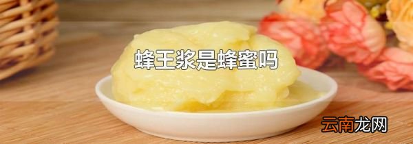 蜂王浆是蜂蜜吗