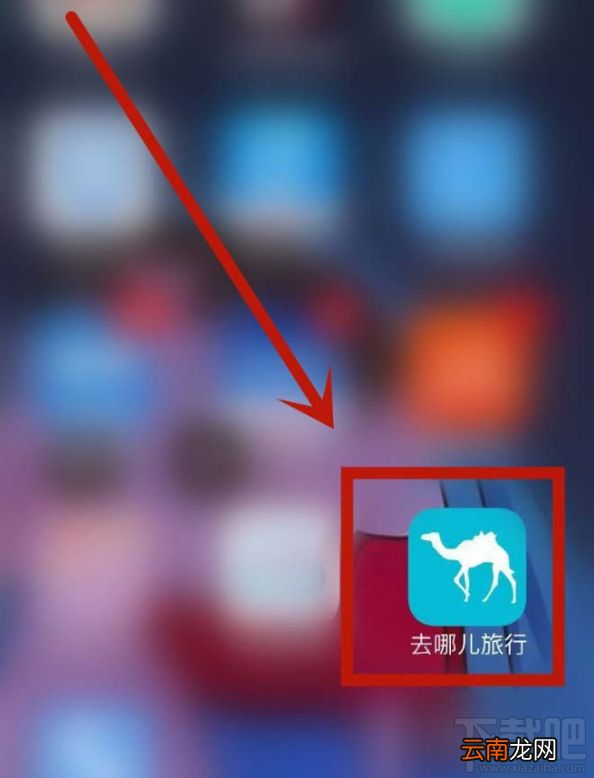 去哪儿旅游app怎么联系在线客服?